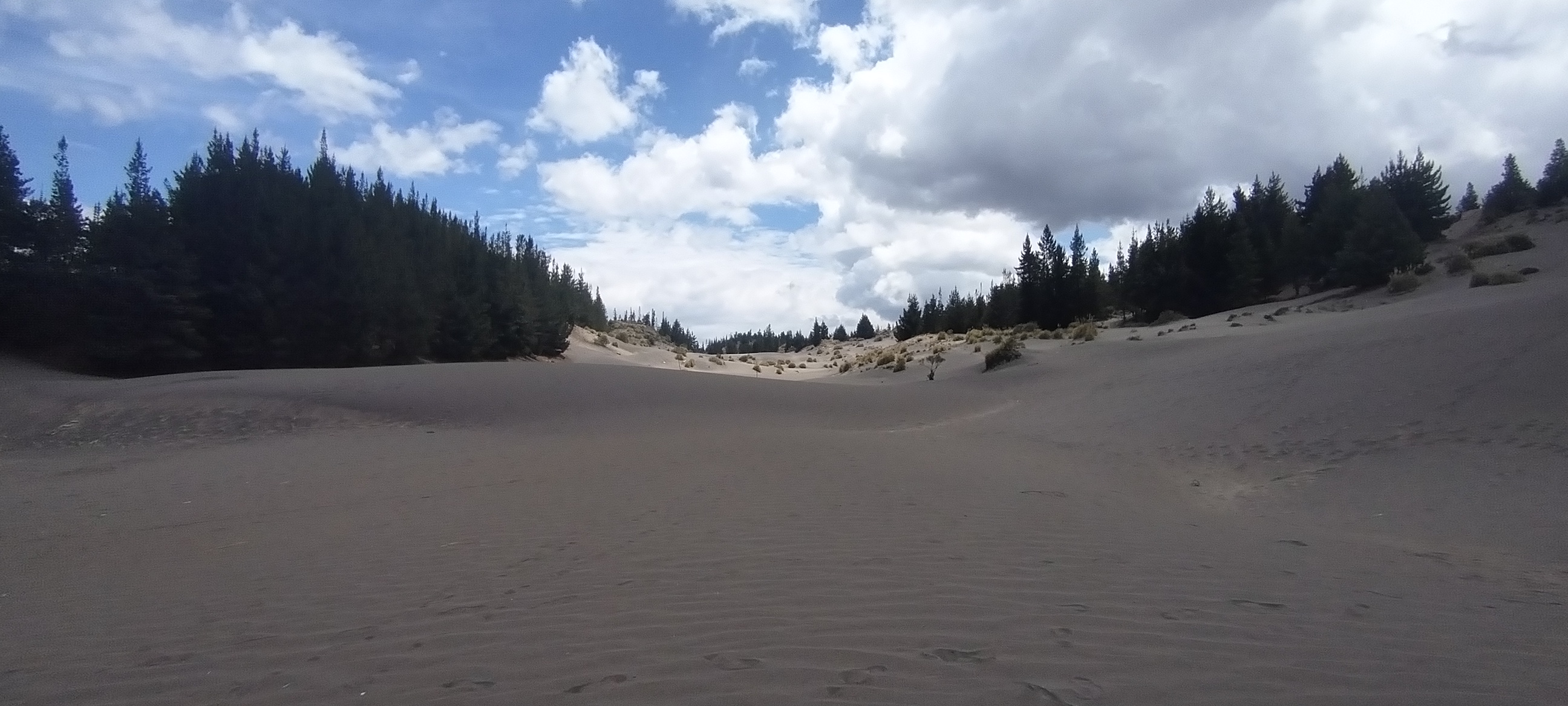 Desierto de Plamira